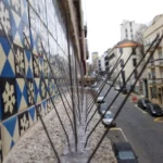 espantar pombos de saliencias das fachadas dos edificios