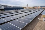 Instalação do sistema ProSolarBirds para afastamento de gaivotas em painéis solares.
